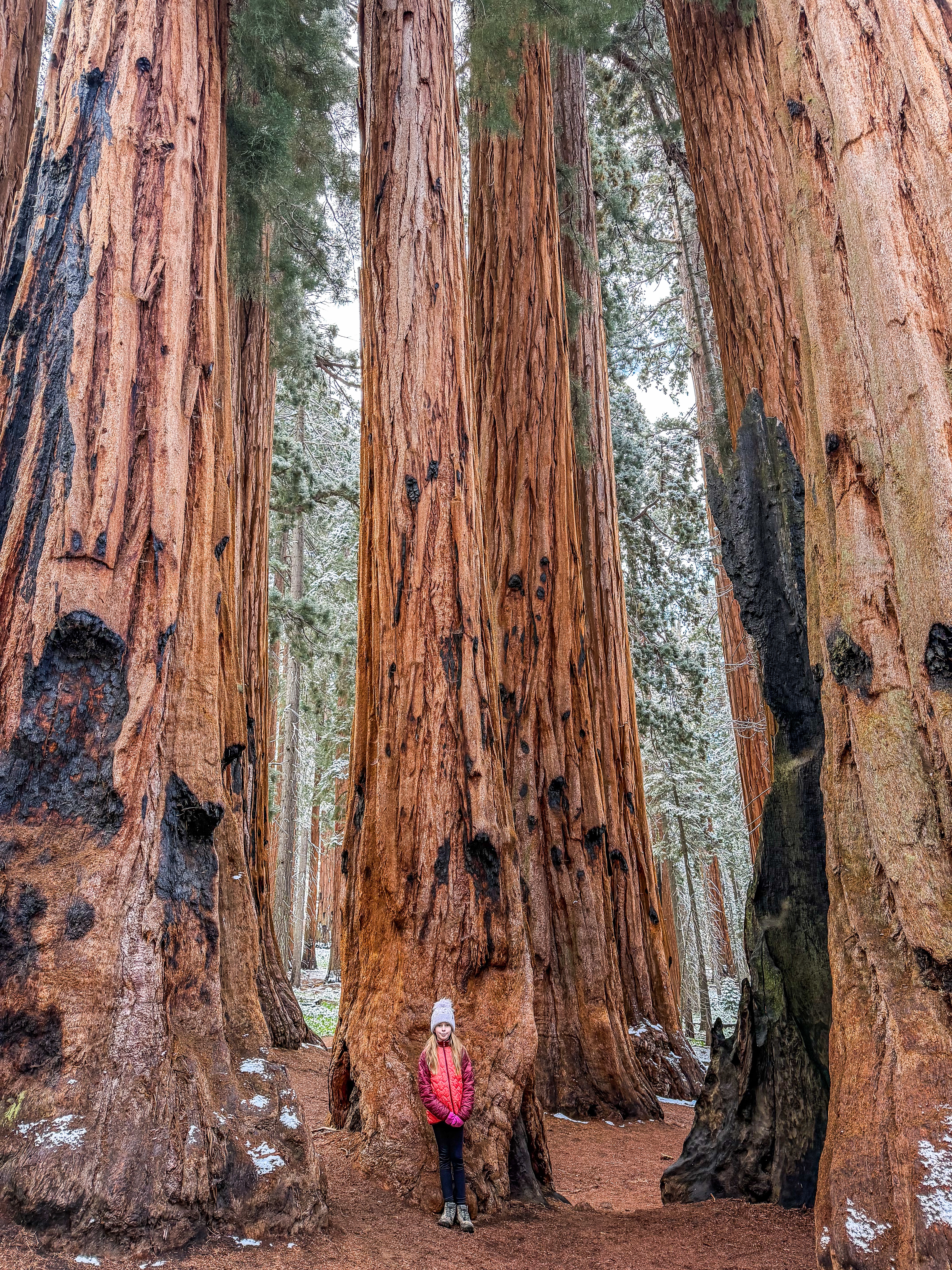 Sequoia National Park: 3 Day Itinerary