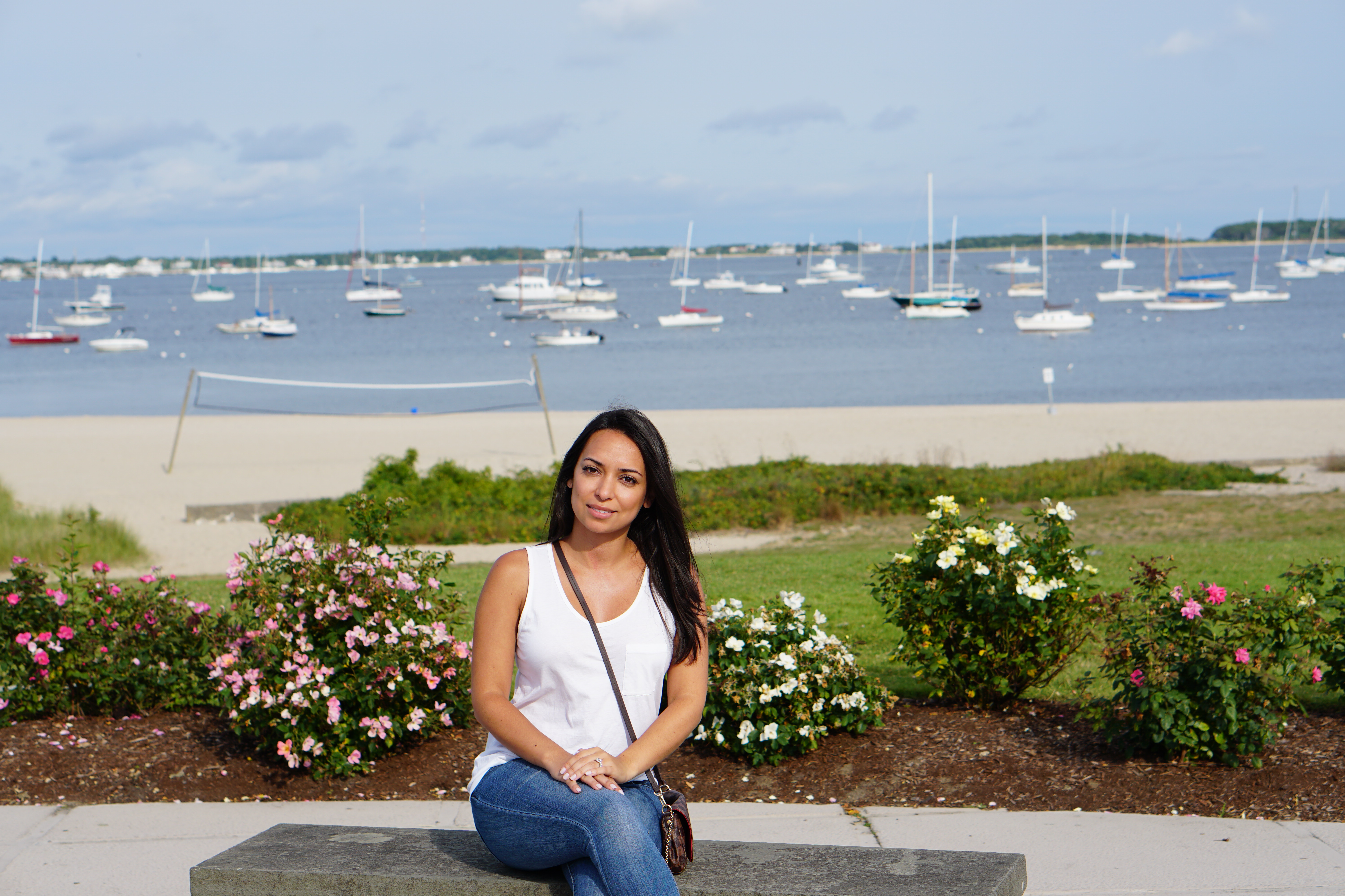 vineyard in cape cod