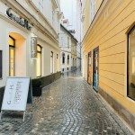 Ljubljana mestno jedro