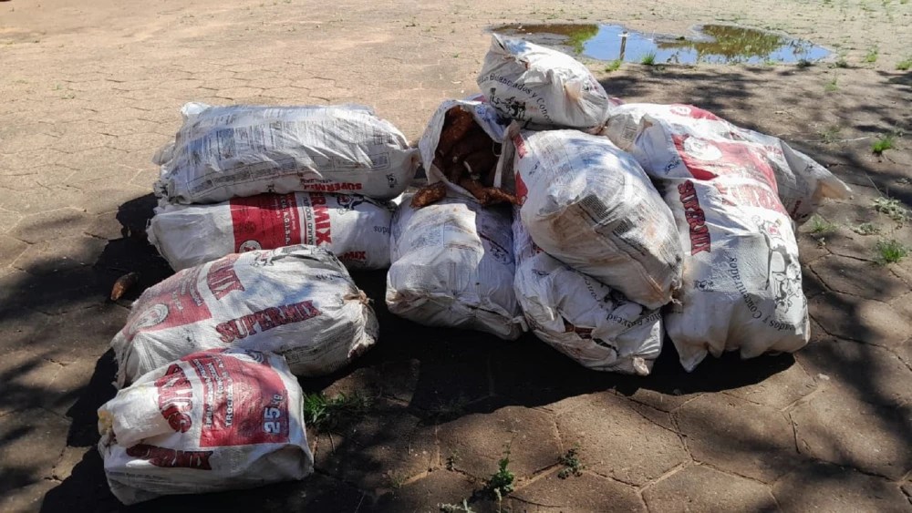 Incautan carga de mandioca de contrabando en la frontera de Pedro Juan Caballero.