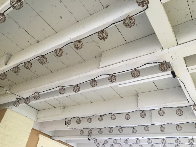 Mayflies cling to the roof on our patio.