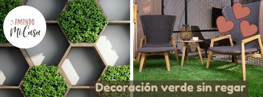Decoración verde sin regar
