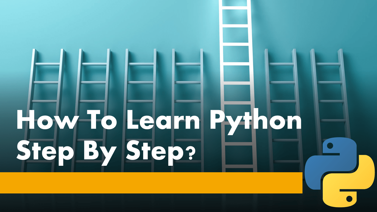 How To Learn Python Step by Step?