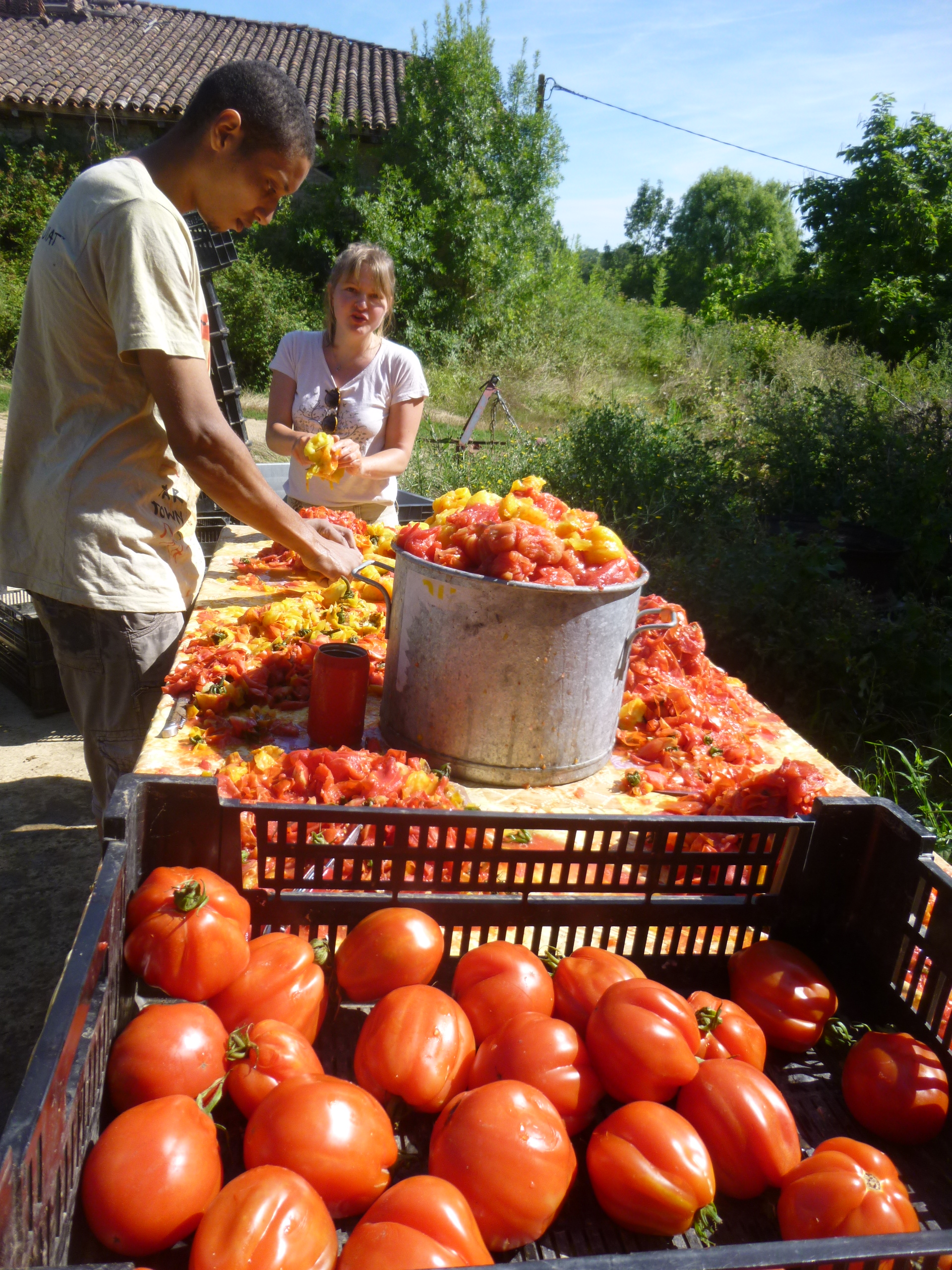 On presse et coupe les tomates