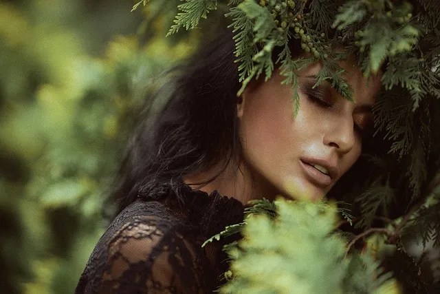 아세트아미노펜과 술의 부작용 및 용량 체크리스트