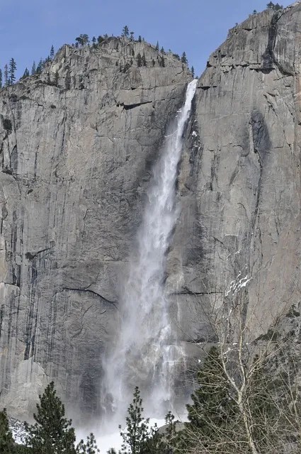 심혈관질환 보험 이해하기: 급성심근경색과 허혈성심장질환