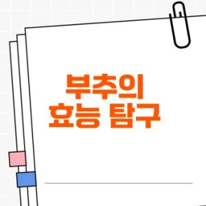 부추의 효능과 요리 활용법 궁금하신가요