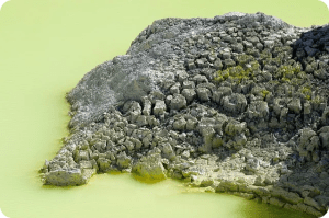 레몬수로 건강과 다이어트 함께할까