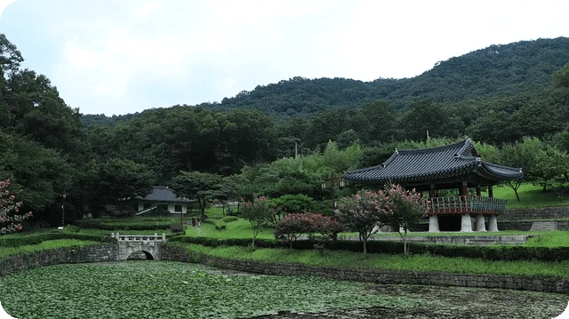 불면증 개선 멜라토닌 멜라바인 효과는?