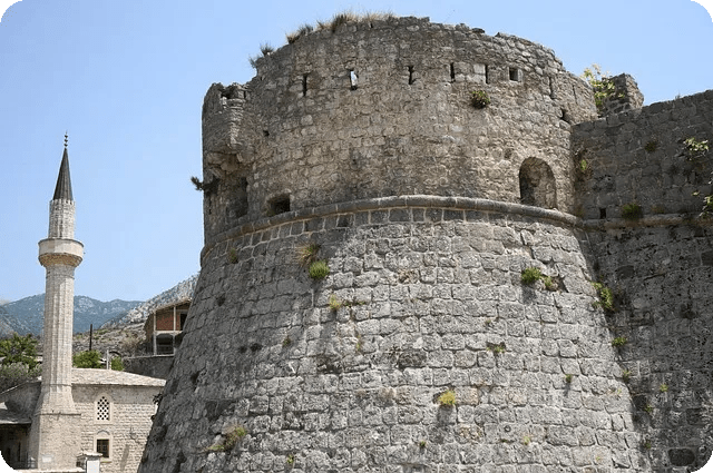 운동 전 식사, 에너지·성과 향상의 핵심 비법은?