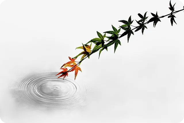 운동 전 식사, 에너지·성과 향상의 핵심 비법은?