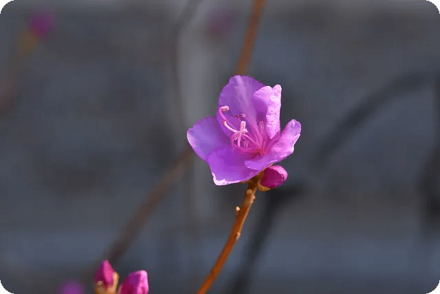 키토 식단 효과 안전하게 시작하려면 어떻게 해야 할까