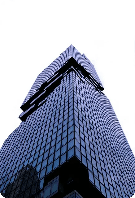 포스파티딜세린으로 기억력 높이기