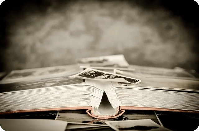 포스파티딜세린 효과와 후기 Revealed