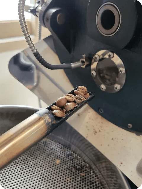 항산화 식품 TOP10 무엇이 건강을 지킬까