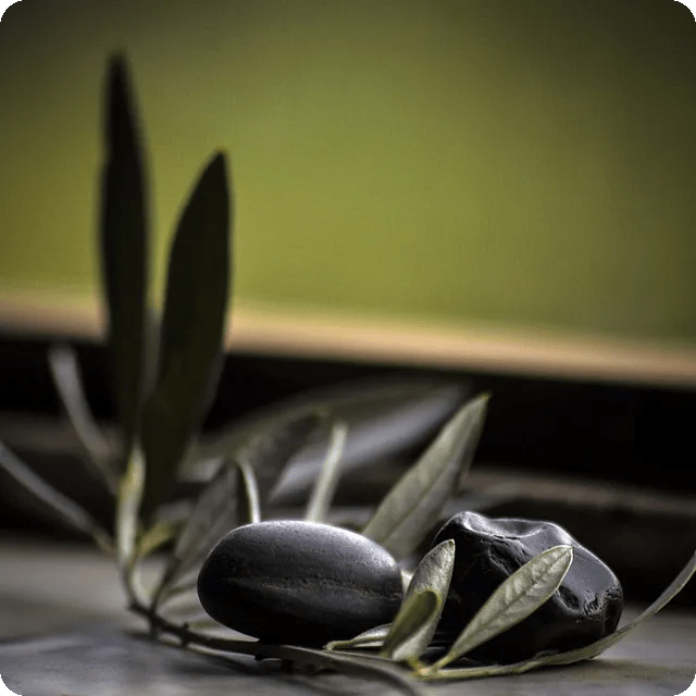 감사일기 작성으로 행복 찾기