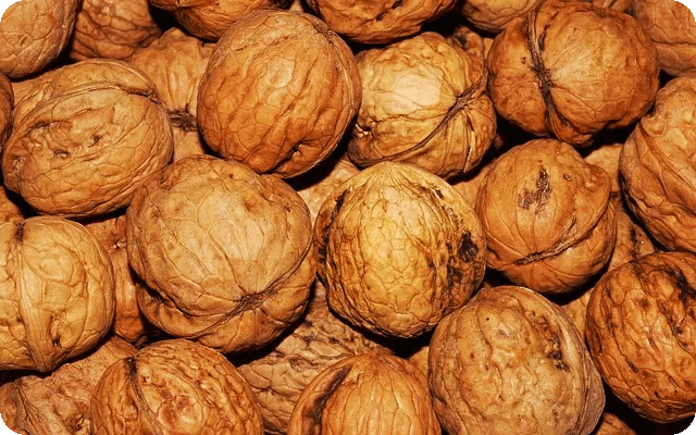 간식이 건강을 좌우한다면 어떤 선택을 할까