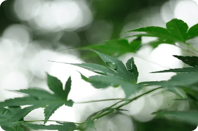 건강한 식습관으로 맛있게 요리하는 법은