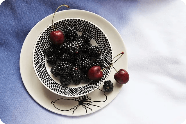 건강 관리 도구로 삶의 질 개선하는 법