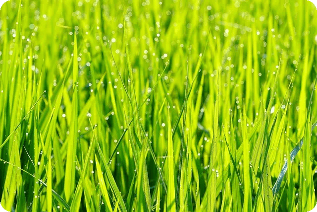 아이폰 건강 관리 어플 추천 완벽 안내