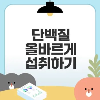 단백질 부족 문제 해결법은?