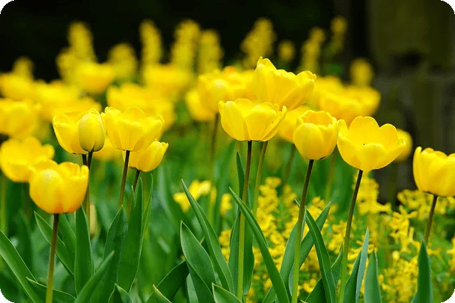 초보자를 위한 명상 센터 추천 방법은?