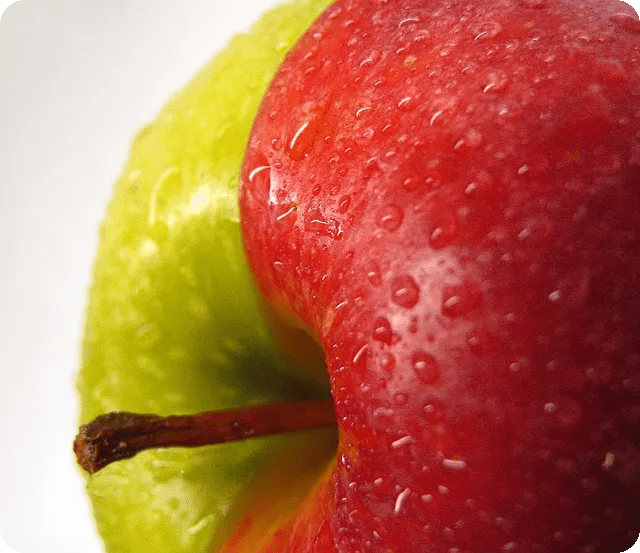 무설탕 껌 활용법과 다이어트 비결은?