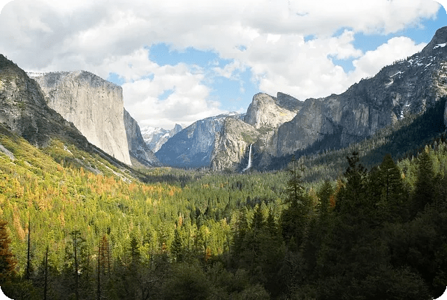 스트레스 해소법으로 마음의 평화 찾기