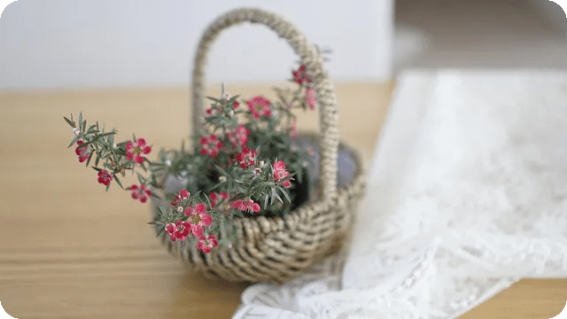 식욕 조절의 비밀을 밝혀내다