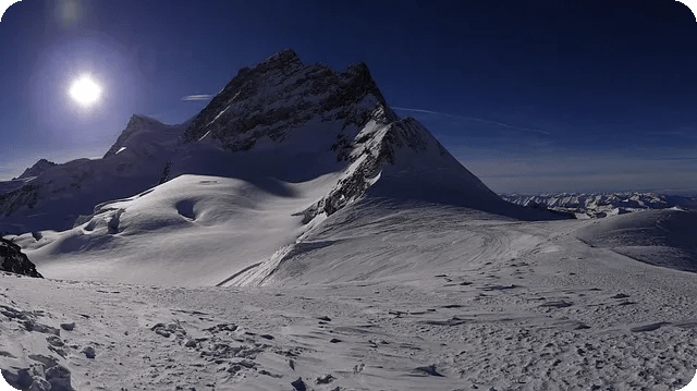 식이섬유 다이어트 한국 음식으로 효과 두 배?