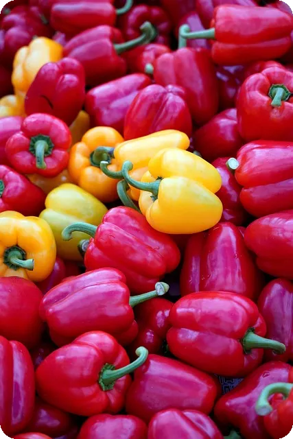 식이섬유 다이어트 한국 음식으로 효과 두 배?