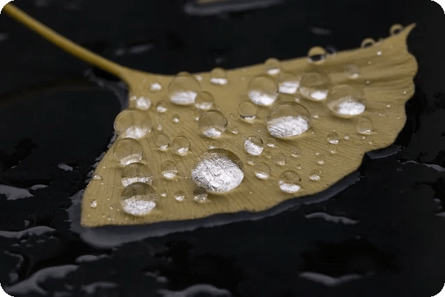 계절별 식재료 선택법으로 건강을 챙기자