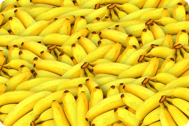 초보자를 위한 10가지 식재료 손질법