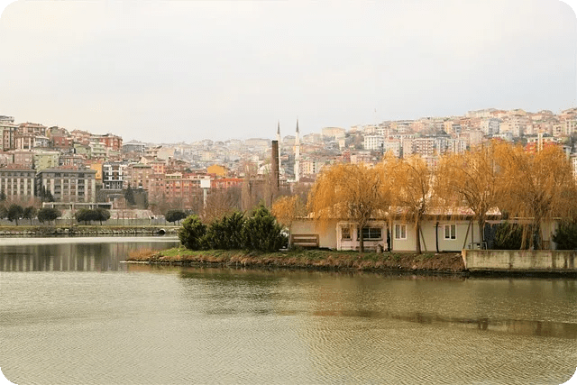 라벤더 아로마 테라피로 불면증 없애기