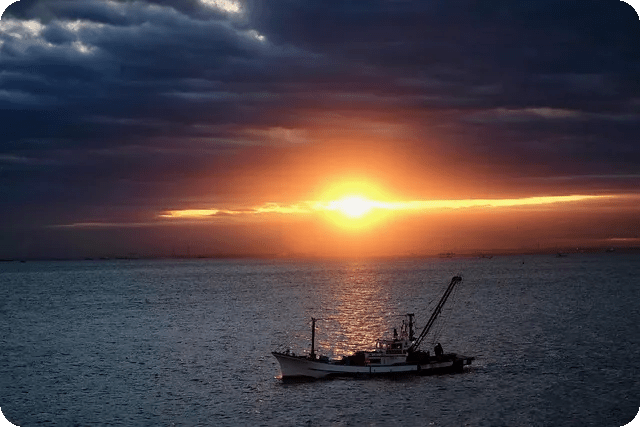 아침 운동 효과로 에너지 넘치는 하루 만들기