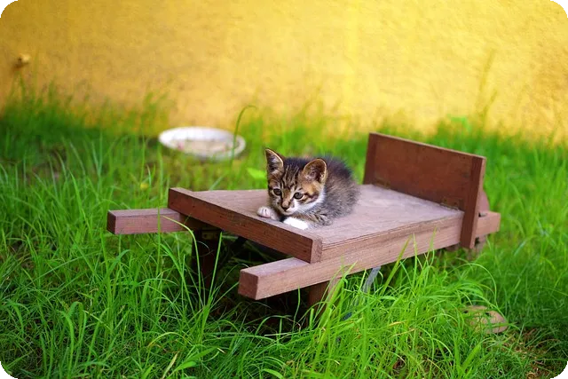 긍정적인 하루 시작을 위한 에너지 충전 식단