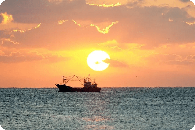 오메가3 효과와 섭취방법 궁금하다면