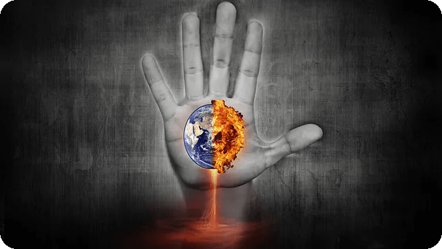 유기농 식품의 효능과 선택 요령은?