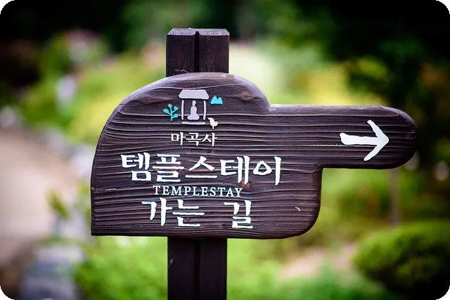 다이어트 요리 저칼로리 레시피의 모든 것