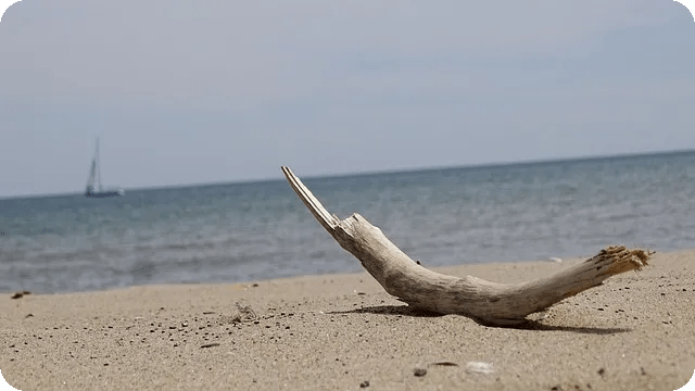 무료체력측정 어디서 받을까