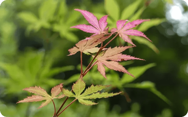 하체 운동으로 미리 알아보는 체중 감량 비법