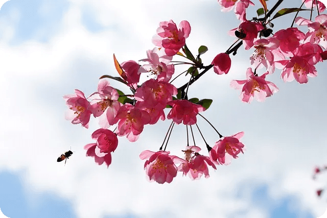 클래식 음악이 치유에 미치는 영향은?