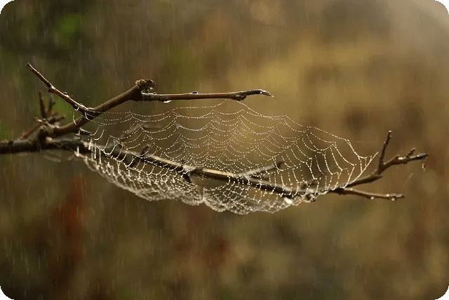 플랭크 운동의 효과와 자세 유지법은?