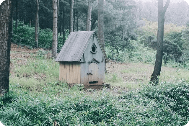 홈트레이닝 영상으로 건강 지키기