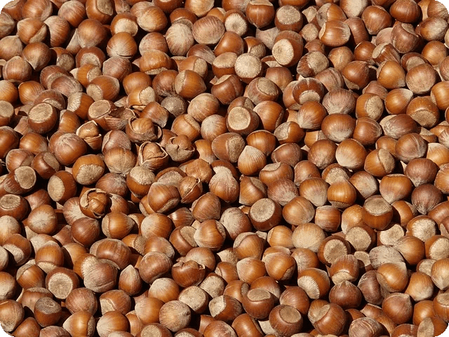 노브랜드 다이어트 재료로 건강한 저녁식사 가능할까