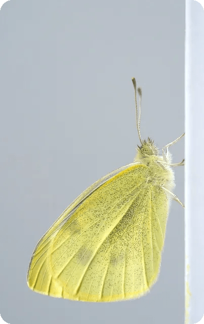 노브랜드 다이어트 재료로 건강한 저녁식사 가능할까