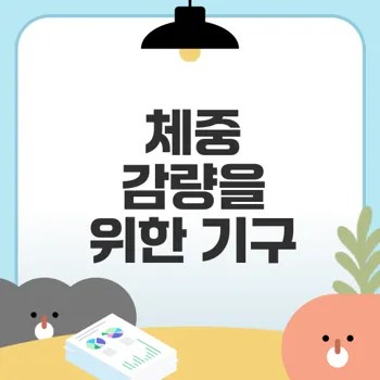 다이어트 기구 활용법 체중 감량의 비밀은?