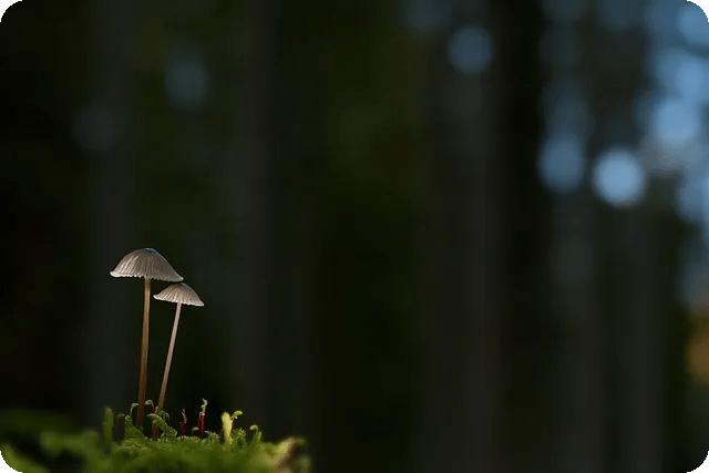 야구 투구폼 종류와 특징은