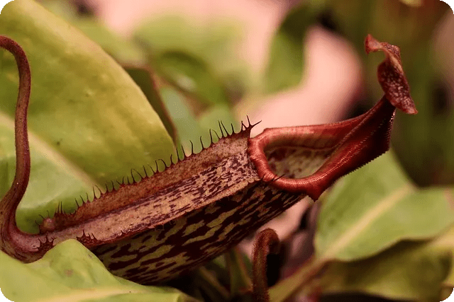 야구 투구폼 종류와 특징은