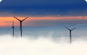 균형 잡힌 식단으로 건강 챙기기